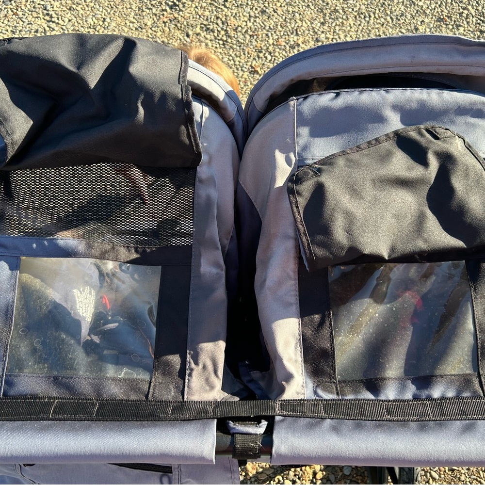 BOB Double Stroller - Picture 5 of 8